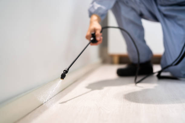 Licensed Cockroach Control service in Warren County County, VA - Nex Pest Control