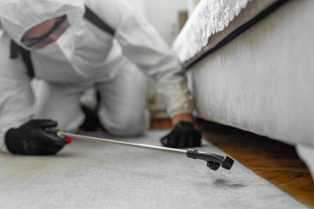Professional Cockroach Control technician working in Warren County County, VA